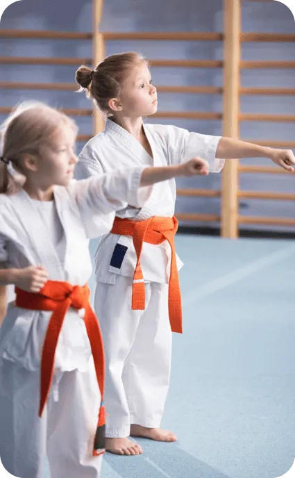 Martial arts class